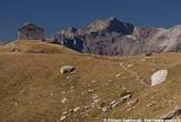 20060904_101050 Rifugio Bertacchi e pizzo Quadro.jpg